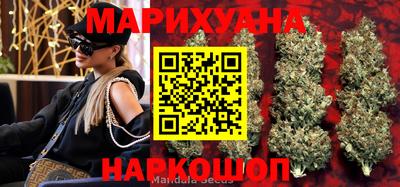 стаф Малгобек